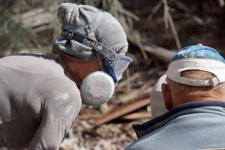 Sculptors at Crystal Lake Day 2, 12 April 2015