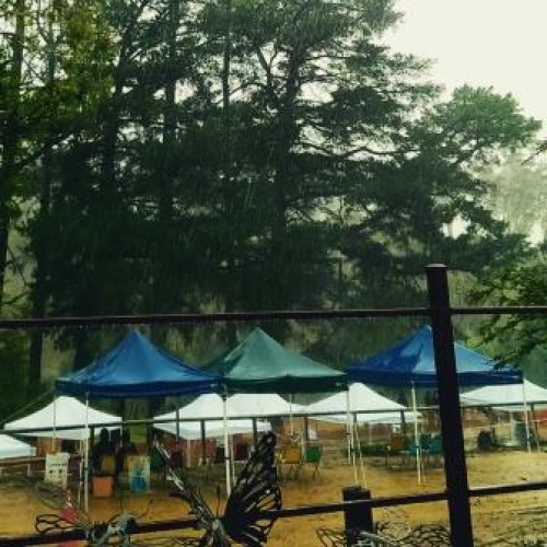 Sculptors at Crystal Lake Day 8, 18 April 2015